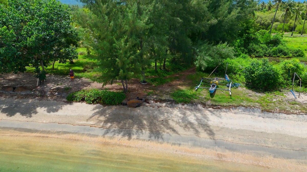 Beach Front Block – Sire Beach
