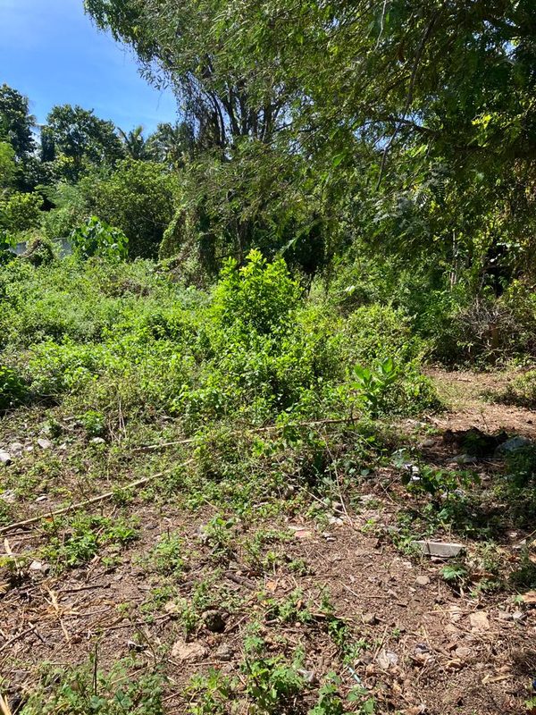 Brand New Property for Sale Sire Beach Area photo 4