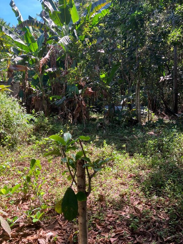 Brand New Property for Sale Sire Beach Area photo 5