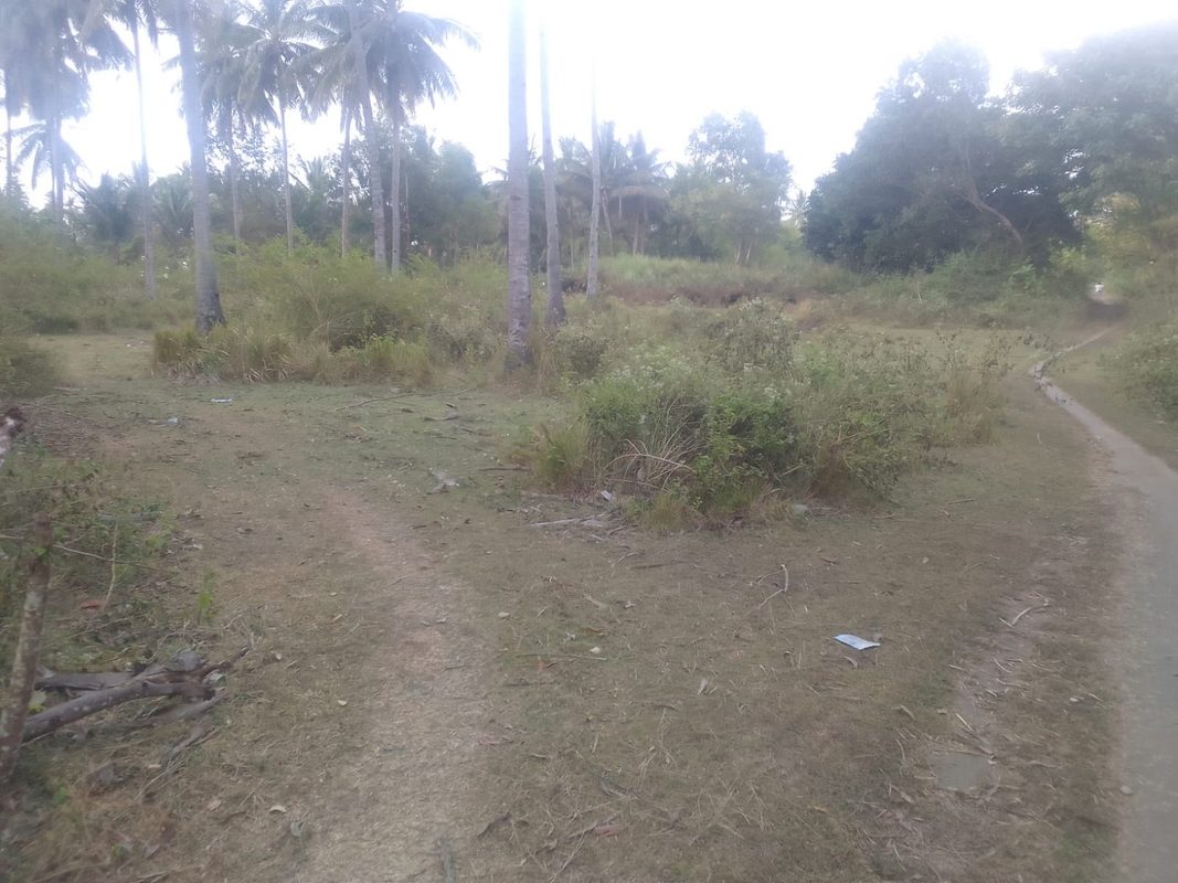 Excellent Beachfront Land Next to Anema Resort Lombok for Sale photo 3