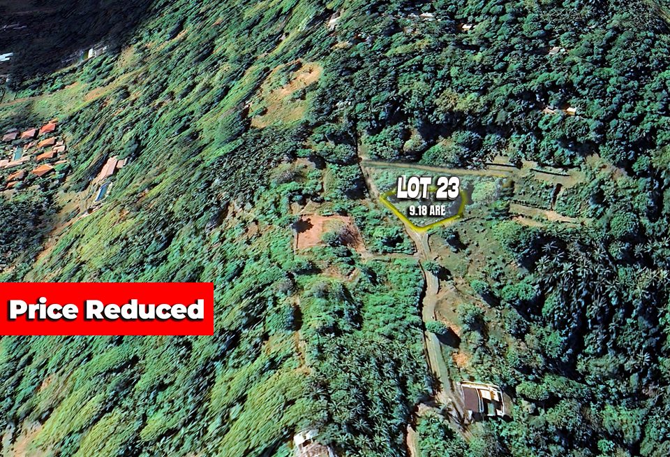 Kebun Estate Land, Senggigi For Sale photo 4