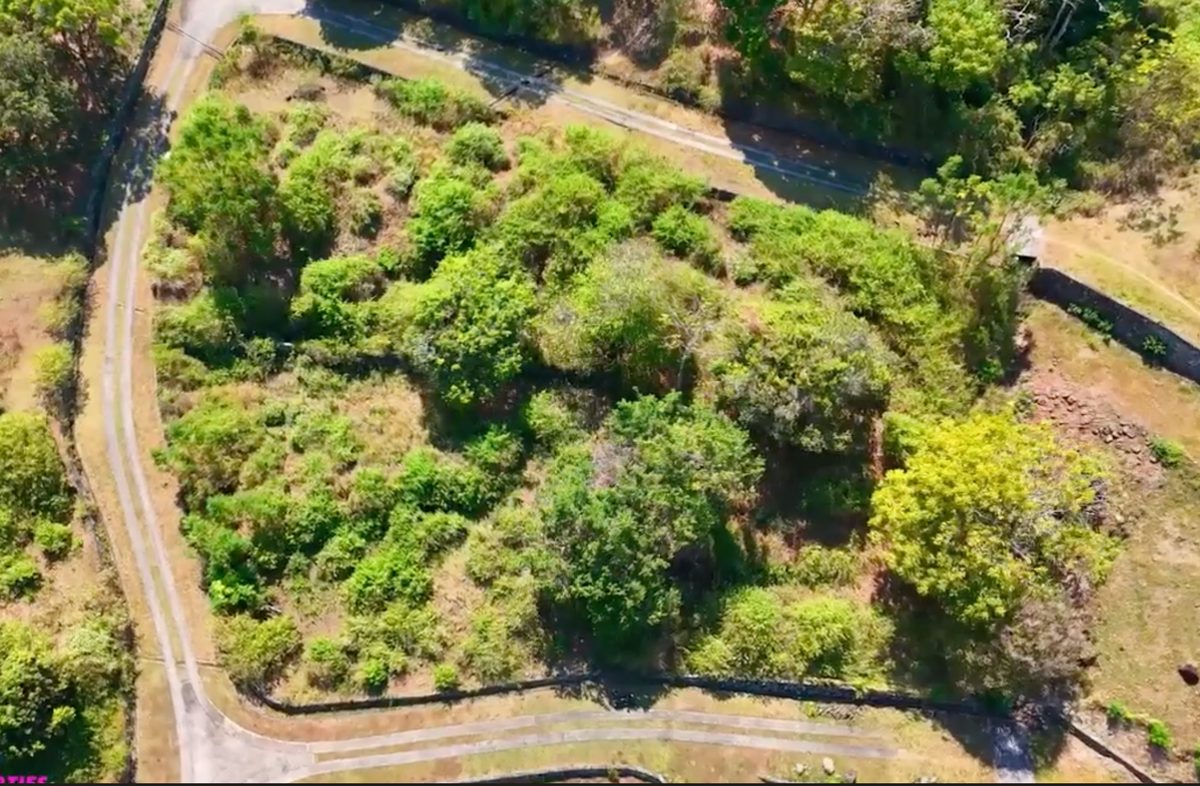 Kebun Estate Land, Senggigi For Sale photo 5