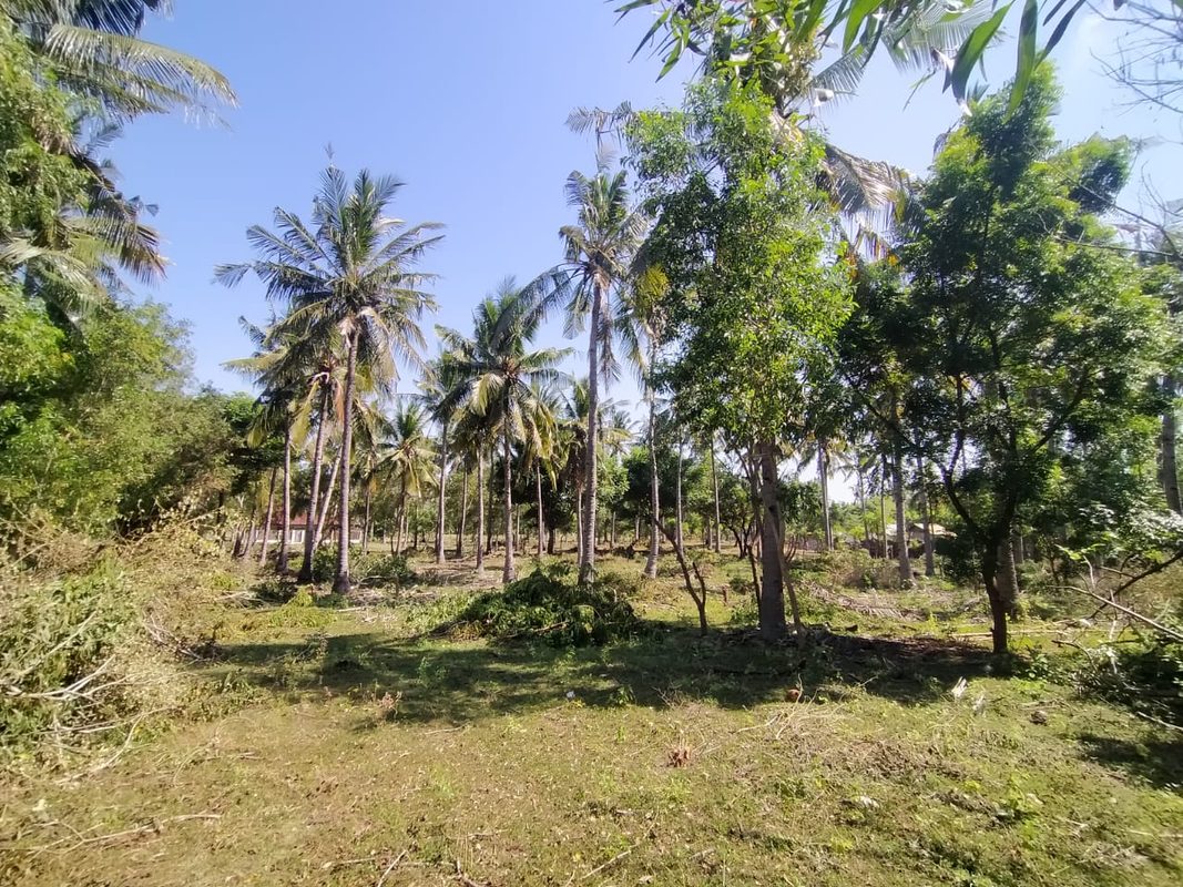 Land For Sale in Gili Trawangan photo 2