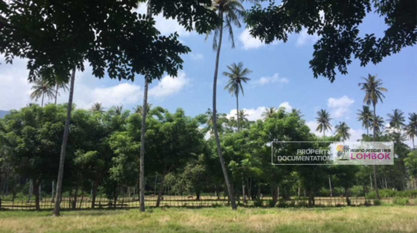 Land in Setangi for Sale – 50 are