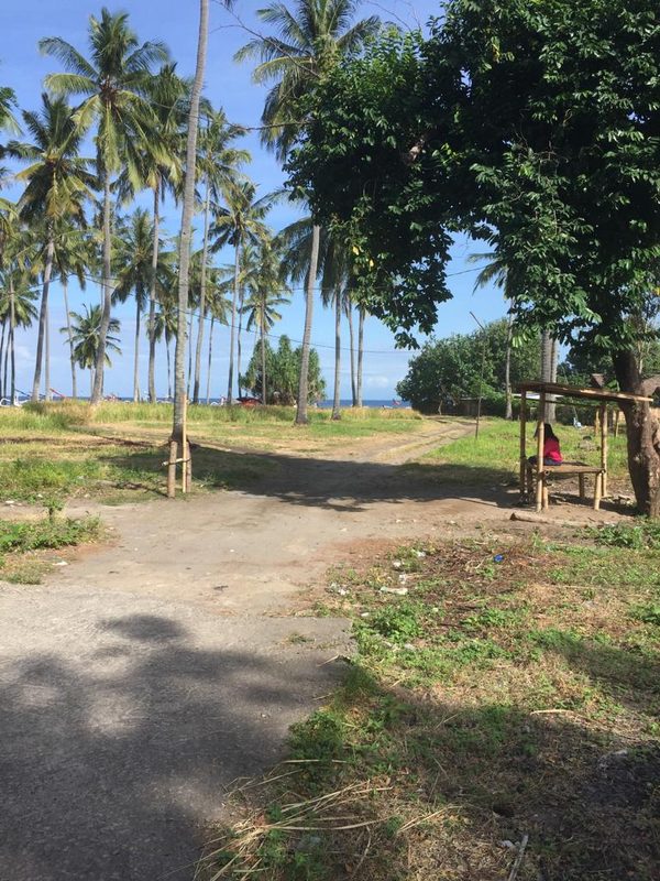 Mangsit Fantastic Beachfront Land 1.3 Hectare