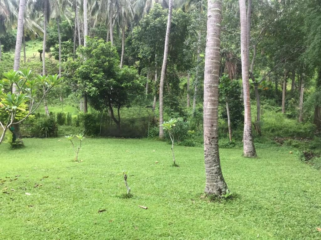 Mangsit Land 17 Are For Sale