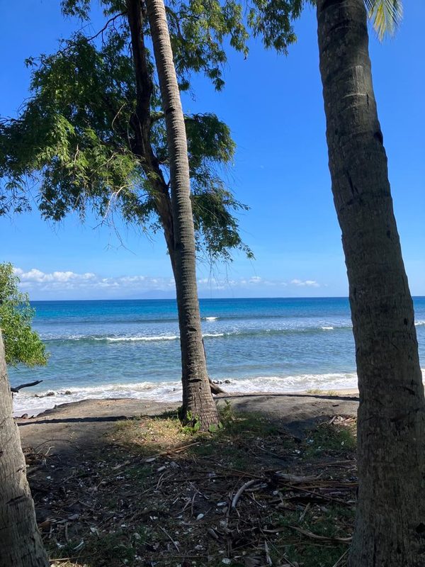 Pandanan Beachfront Block For Sale