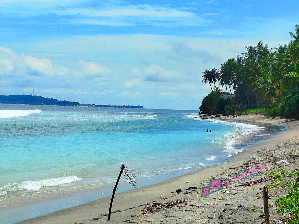Pandanan Beachfront Land photo 3