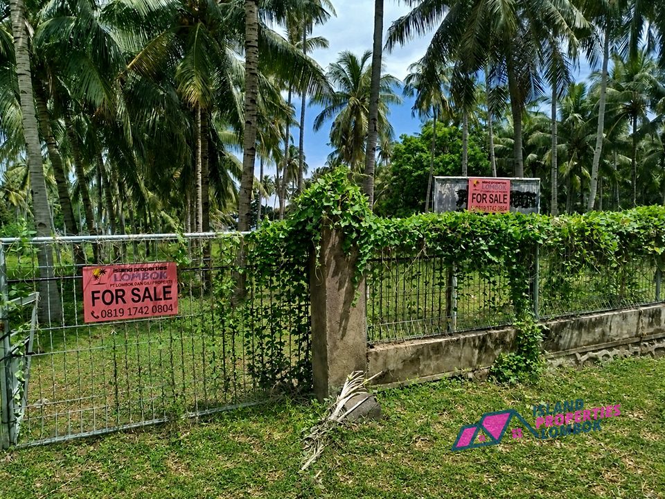 Pandanan Beachfront Land photo 4