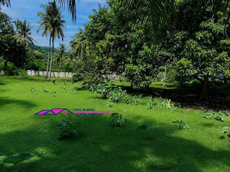 Pandanan Beachfront Land photo 5