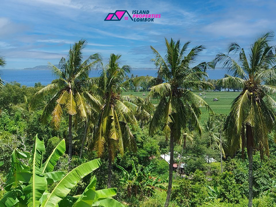 Prime Development – Pemenang, Lombok 