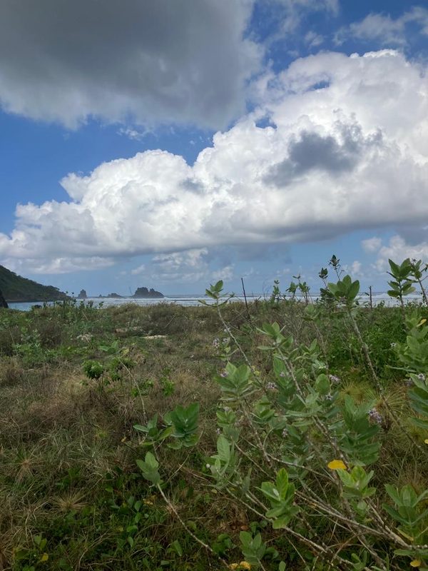 Tampah Beachfront For Sale