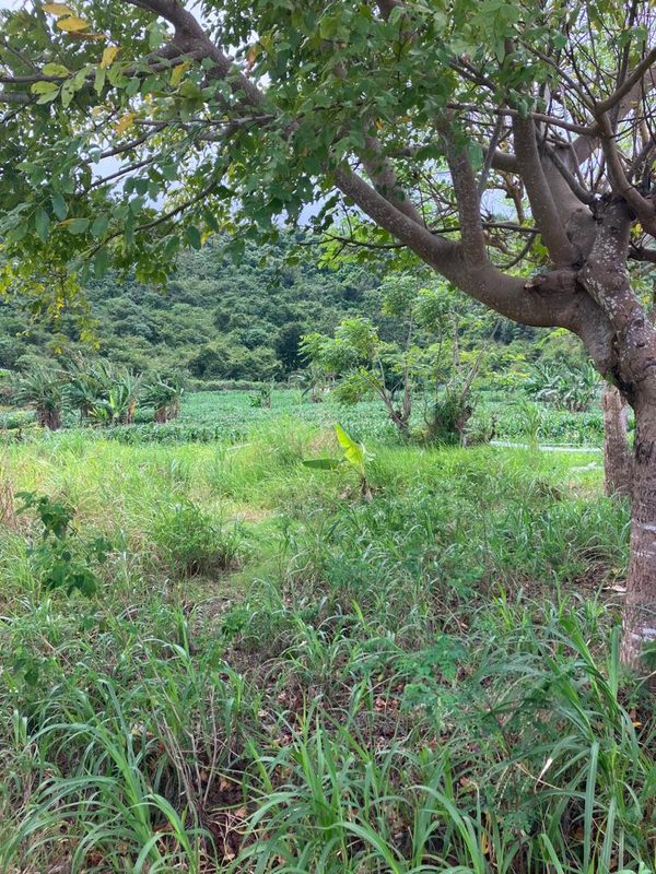 Tampah Beachfront For Sale photo 2