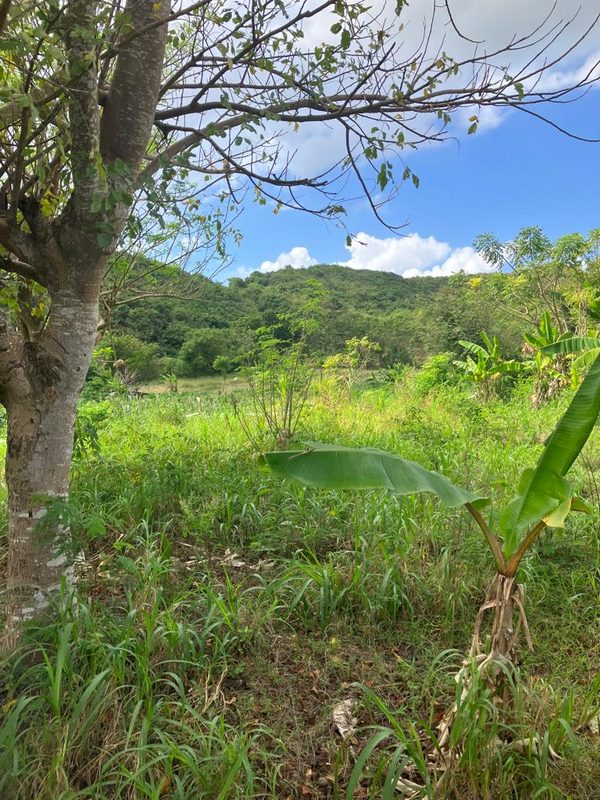 Tampah Beachfront For Sale photo 3
