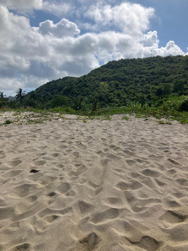 Tampah Beachfront For Sale photo 4