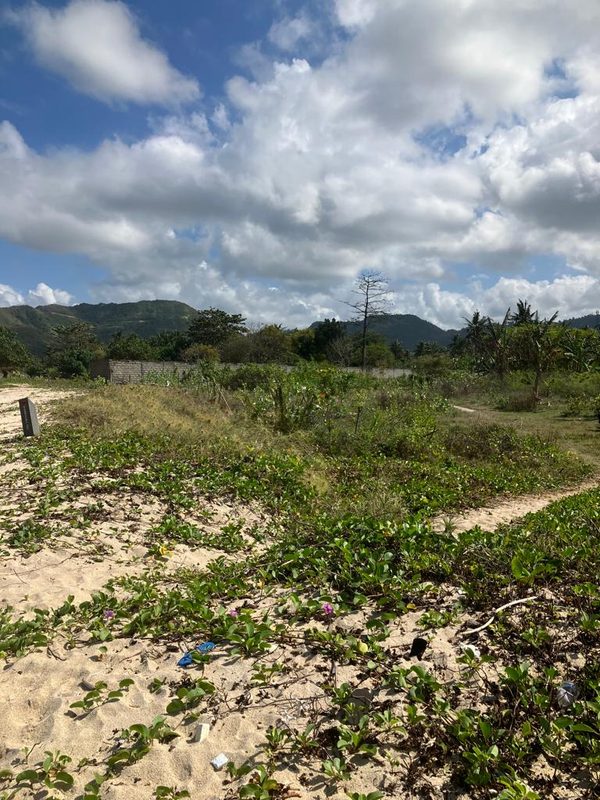 Tampah Beachfront For Sale photo 5